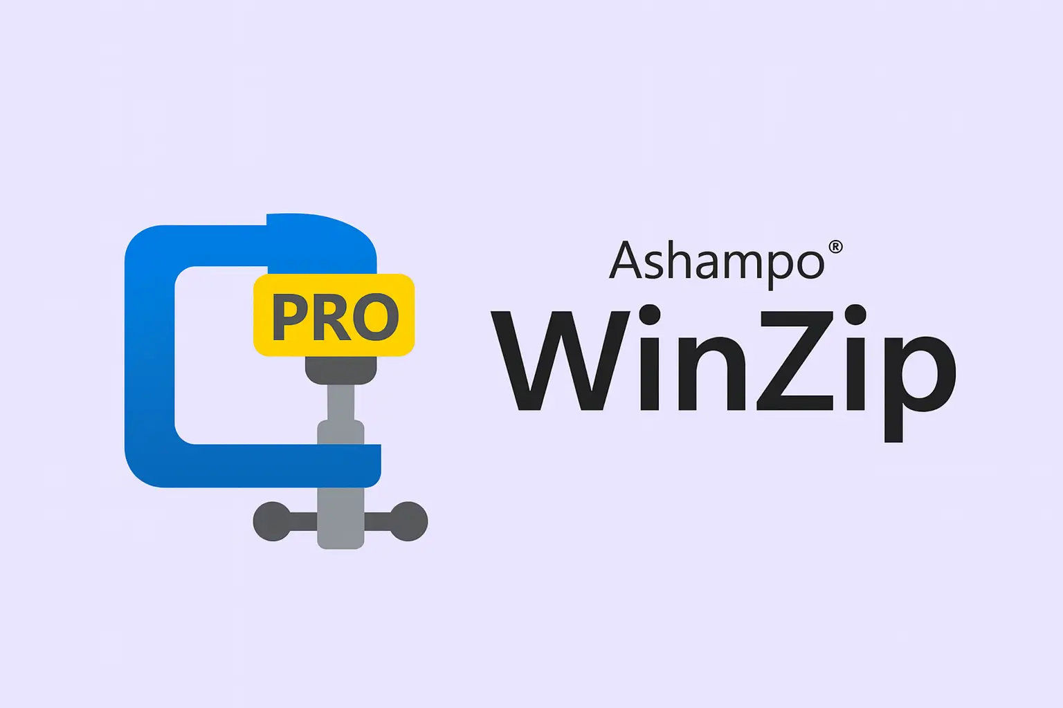 WinZip Pro logo on light purple background.