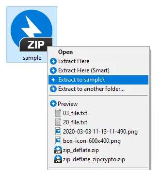 WinRAR extract options for ZIP file.