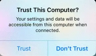 Prompt to trust computer for data access.